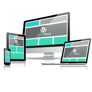 Wordpress Web Design Solutions